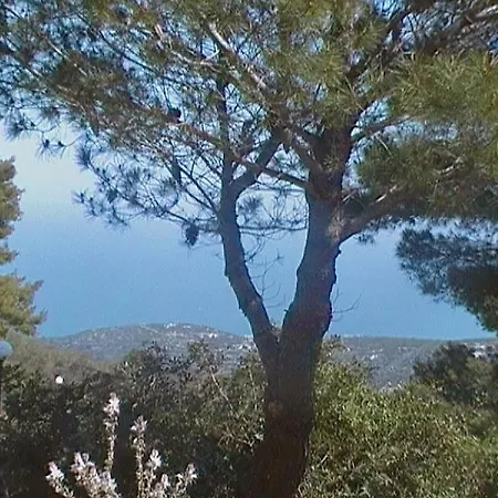 Case Vacanze Corso
